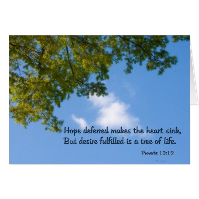 Proverbs 13:12 Hope deferred makes the heart sick (Front Horizontal)