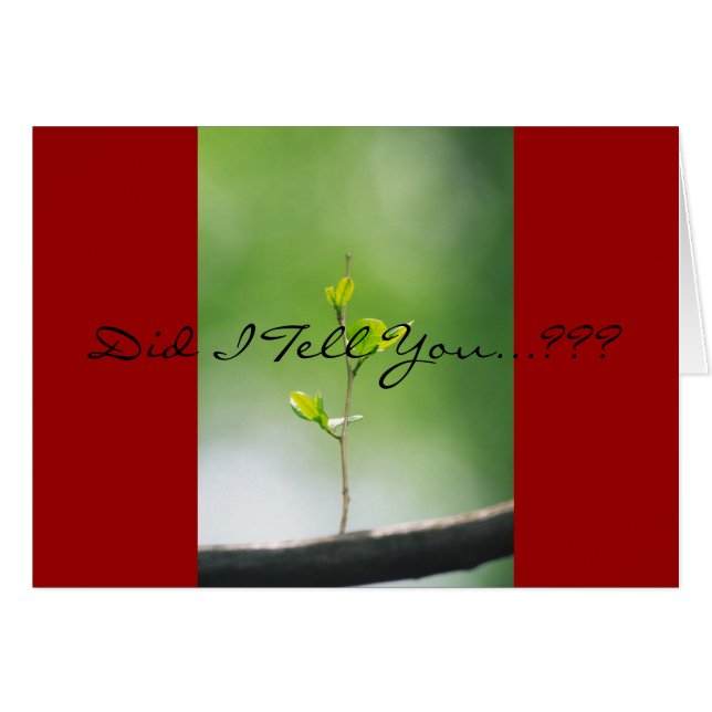 Proverbs 18:21 - Love (Front Horizontal)