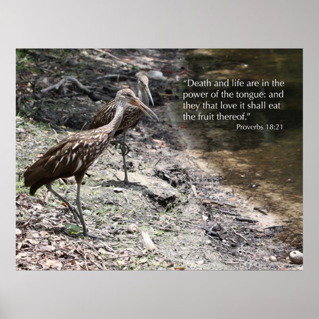 Proverbs 18:21 Scripture Print (Front)