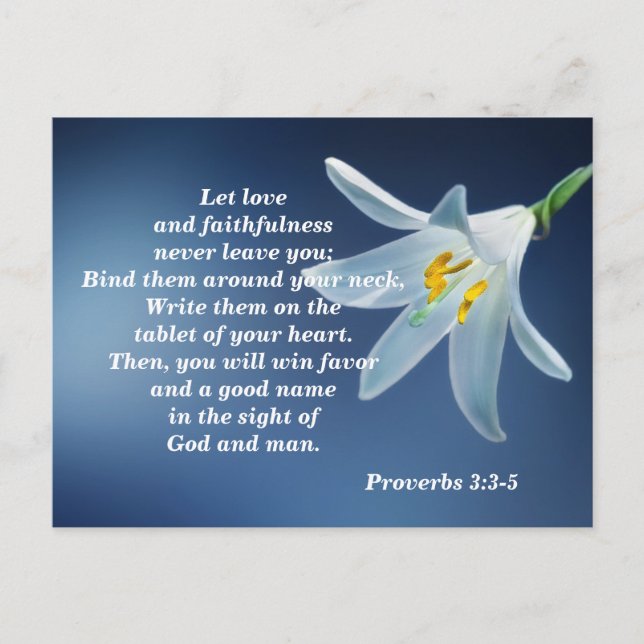 Proverbs 3: 3-4 Love and Faithfulness Encourage Postcard (Front)