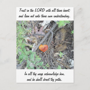 Proverbs 3:5-6 postcard