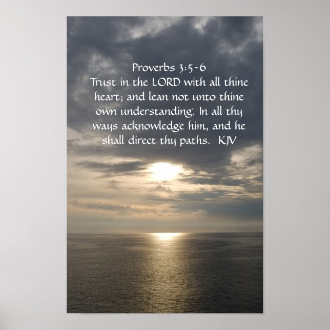 Proverbs 3:5- 6 poster white text (Front)
