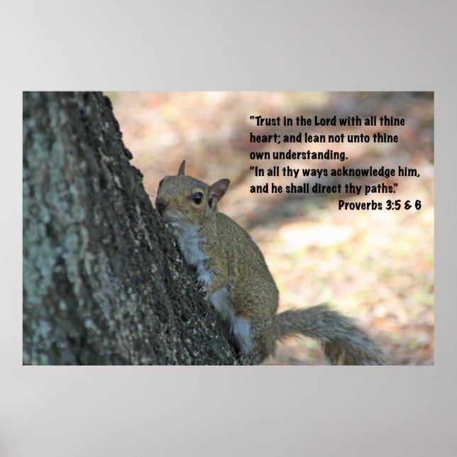 Proverbs 3:5 & 6 Scripture Poster (Front)