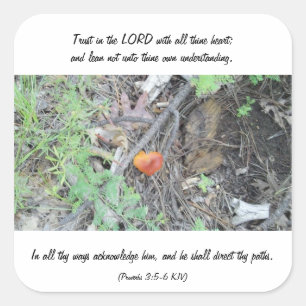 Proverbs 3:5-6 square sticker