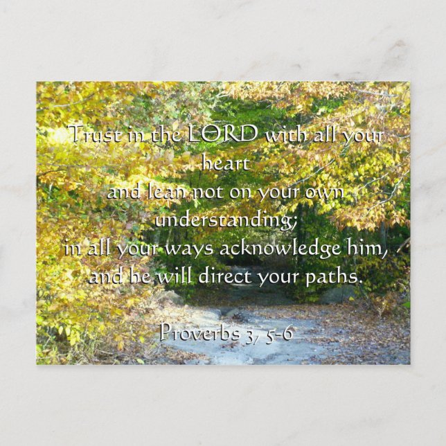Proverbs 3, 5-6 trust with your heart card (Front)