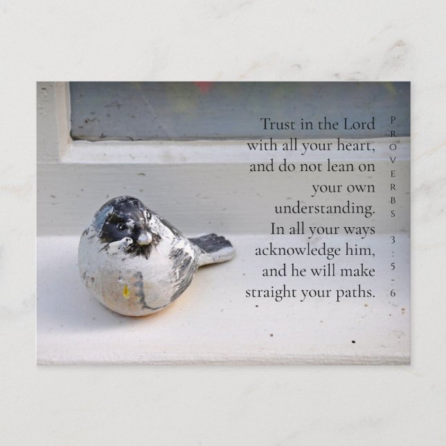 Proverbs 3:5-6 Window Sill Bird Postcard (Front)