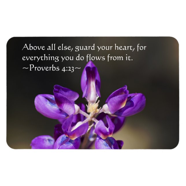 Proverbs 4:23 magnet (Horizontal)