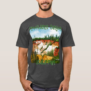 Providence Canyon State Park Georgia T-Shirt