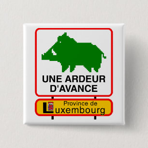 - Province of Luxembourg swipes in a HEAT IN 15 Cm Square Badge