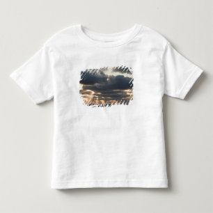 Provincetown, Massachusetts Toddler T-Shirt