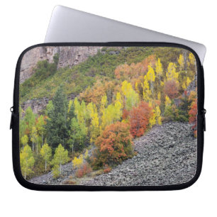 Provo River and aspen trees 10 Laptop Sleeve