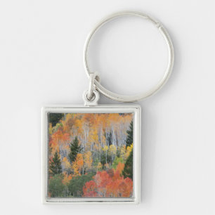 Provo River and aspen trees 11 Key Ring