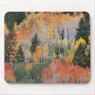 Provo River and aspen trees 11 Mouse Pad