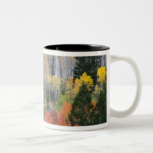 Provo River and aspen trees 11 Two-Tone Coffee Mug (Right)