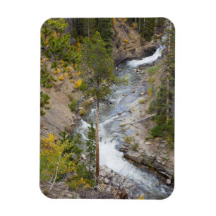 Provo River and aspen trees 14 Magnet