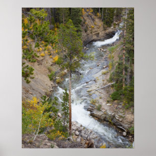 Provo River and aspen trees 14 Poster