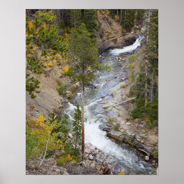 Provo River and aspen trees 14 Poster (Front)