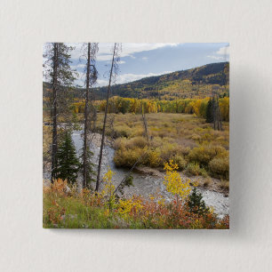 Provo River and aspen trees 15 Cm Square Badge