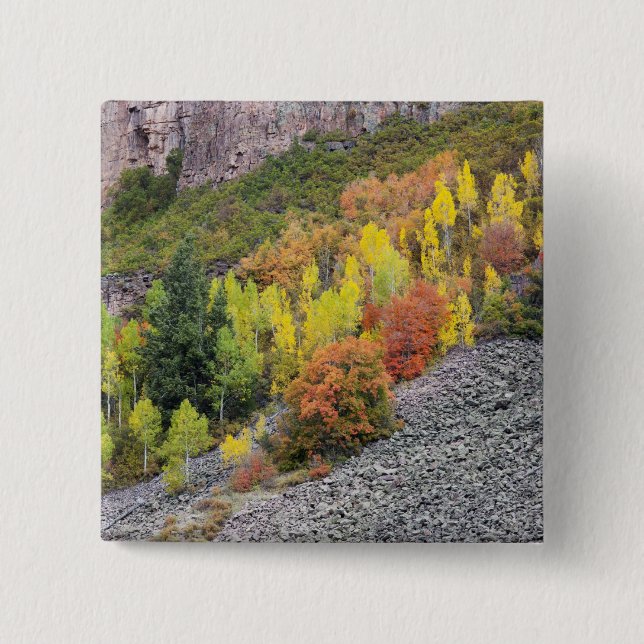 Provo River and aspen trees 15 Cm Square Badge (Front)