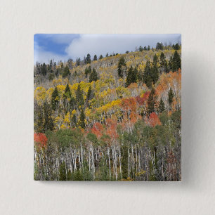 Provo River and aspen trees 15 Cm Square Badge