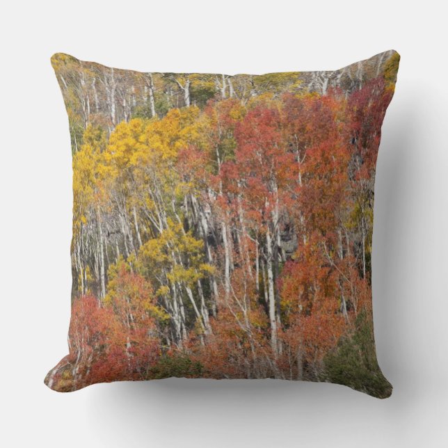 Provo River and aspen trees 15 Cushion (Front)