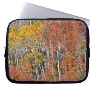 Provo River and aspen trees 15 Laptop Sleeve