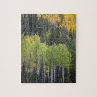 Provo River and aspen trees 2