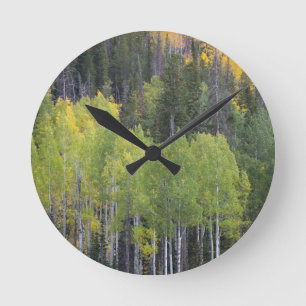Provo River and aspen trees 2 Round Clock