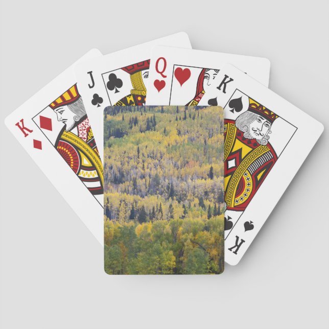 Provo River and aspen trees 3 Playing Cards (Back)