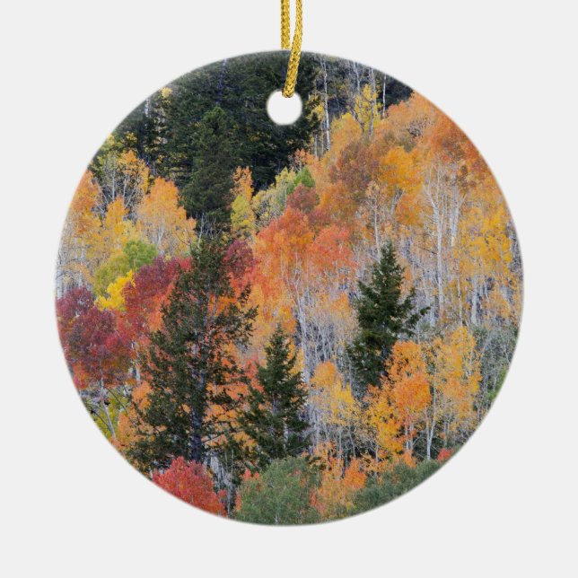 Provo River and aspen trees 4 Ceramic Tree Decoration (Front)