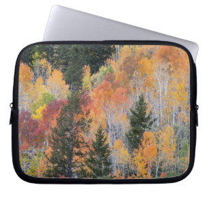 Provo River and aspen trees 4 Laptop Sleeve