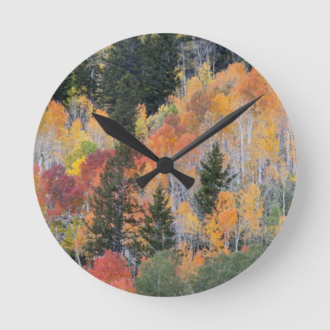 Provo River and aspen trees 4 Round Clock (Front)