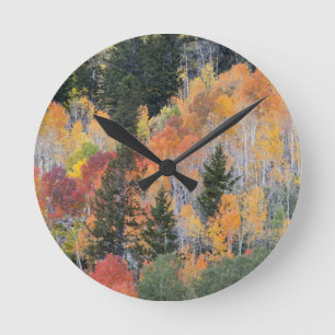 Provo River and aspen trees 4 Round Clock
