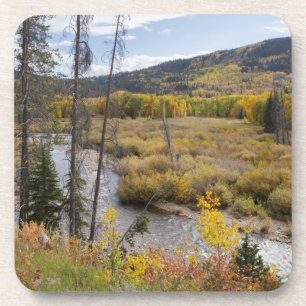 Provo River and aspen trees 5 Coaster