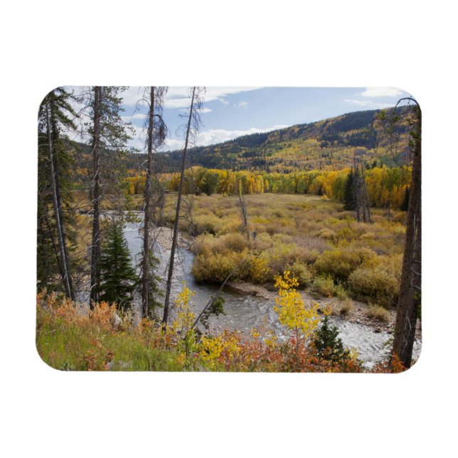 Provo River and aspen trees 5 Magnet (Horizontal)