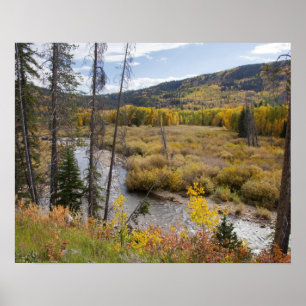 Provo River and aspen trees 5 Poster