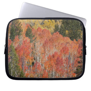Provo River and aspen trees 6 Laptop Sleeve