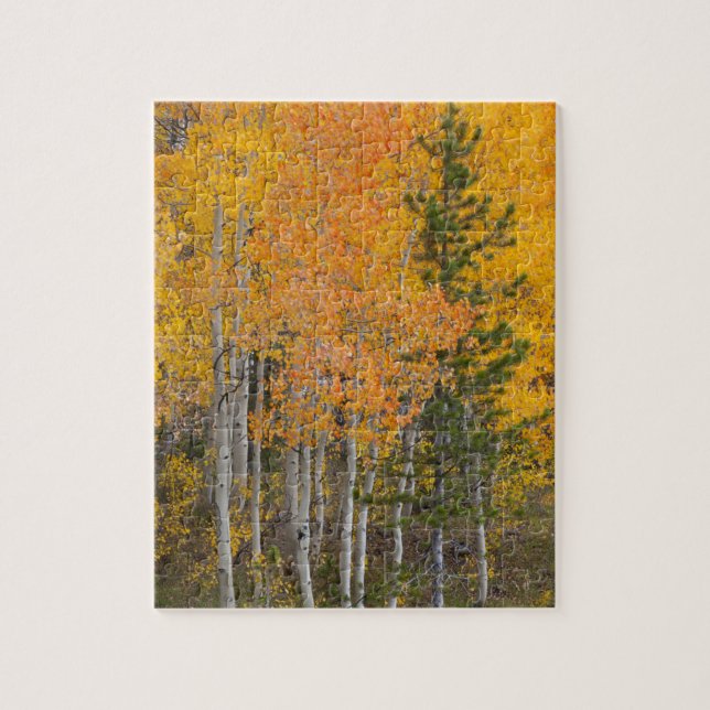 Provo River and aspen trees 7 Jigsaw Puzzle (Vertical)