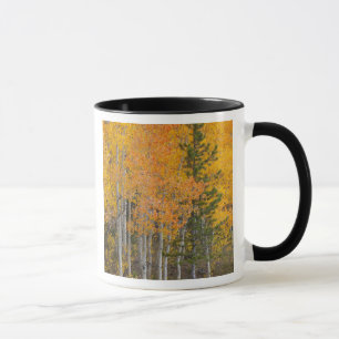 Provo River and aspen trees 7 Mug