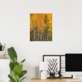 Provo River and aspen trees 7 Poster (Home Office)