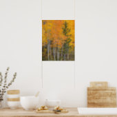 Provo River and aspen trees 7 Poster (Kitchen)