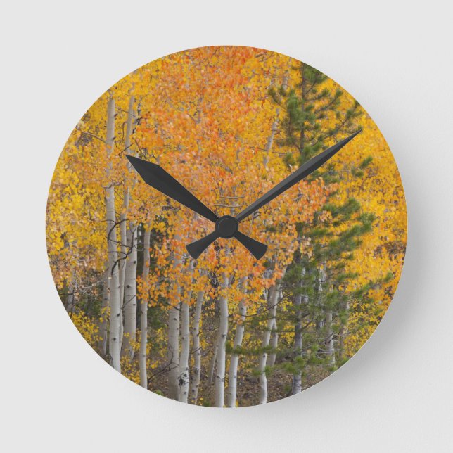 Provo River and aspen trees 7 Round Clock (Front)