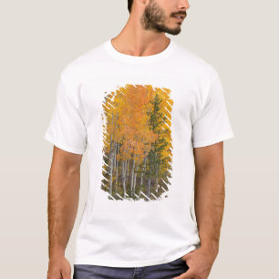 Provo River and aspen trees 7 T-Shirt