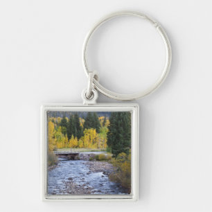 Provo River and aspen trees 8 Key Ring