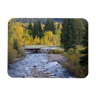 Provo River and aspen trees 8 Magnet