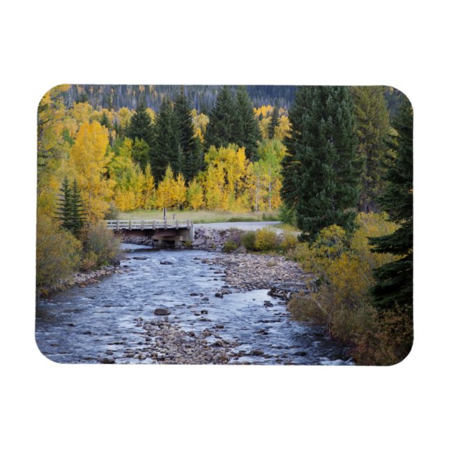 Provo River and aspen trees 8 Magnet (Horizontal)