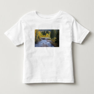 Provo River and aspen trees 8 Toddler T-Shirt