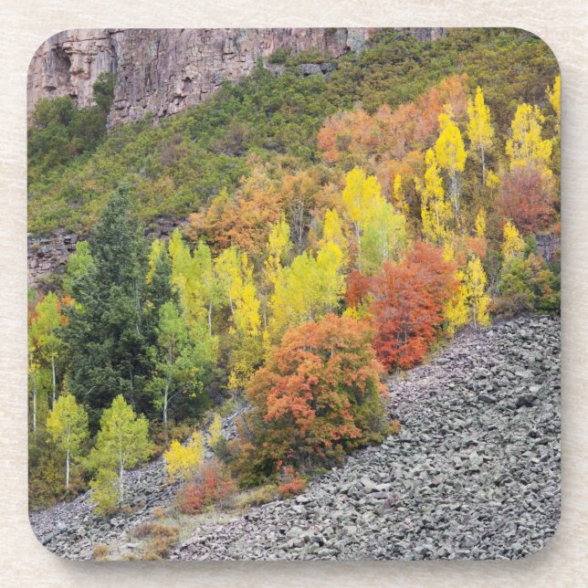 Provo River and aspen trees Coaster (Front)