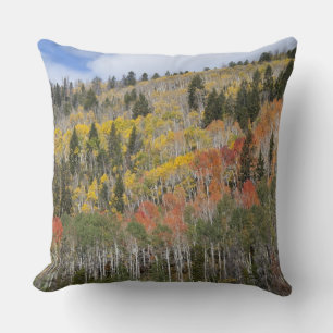 Provo River and aspen trees Cushion
