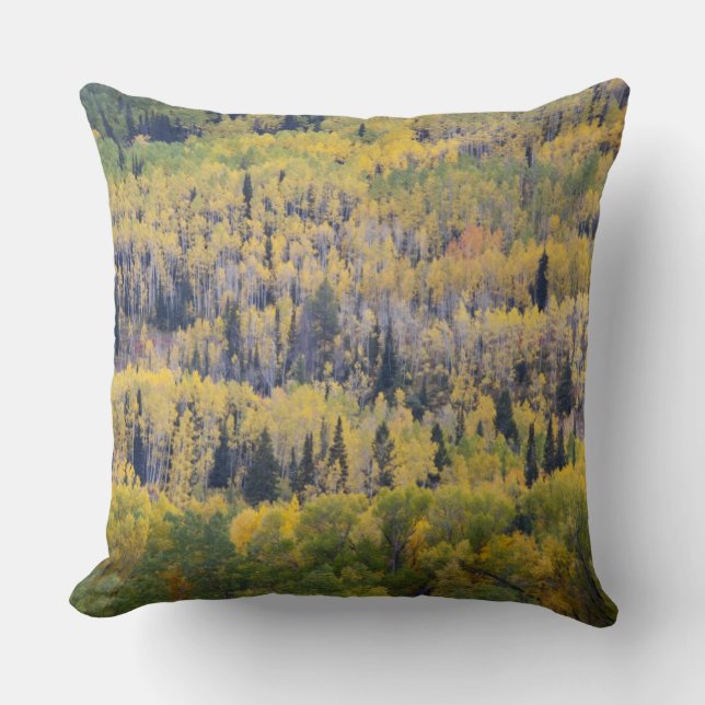 Provo River and aspen trees Cushion (Front)